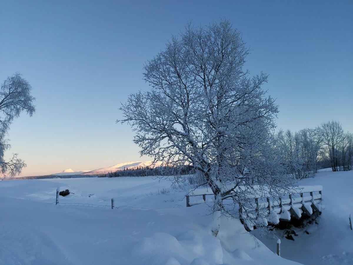 Villmarksgard Tommerstue Hattfjelldal Экстерьер фото