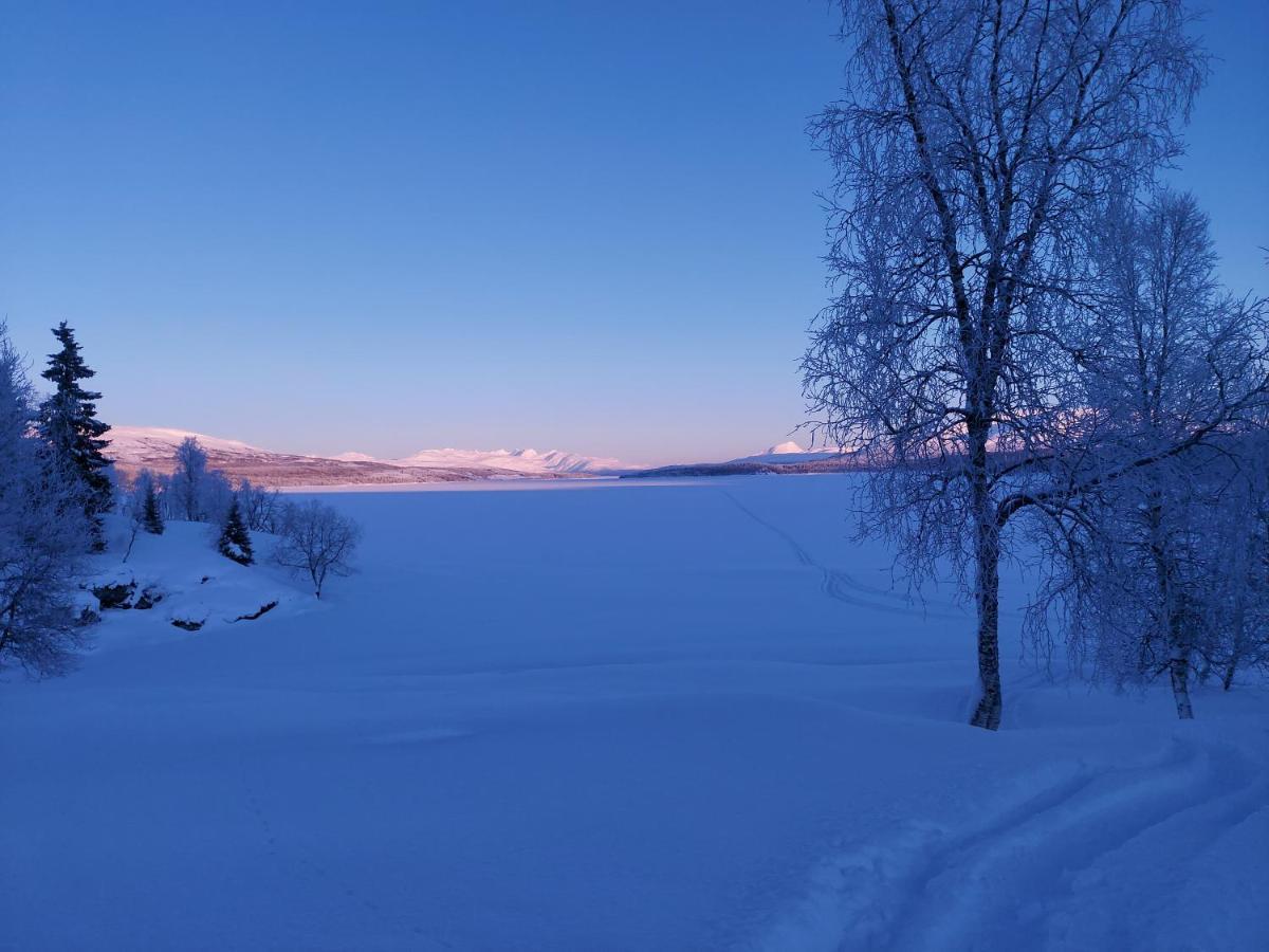 Villmarksgard Tommerstue Hattfjelldal Экстерьер фото